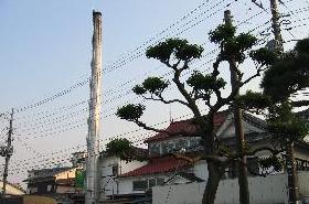 Sento, japanese public bath