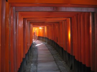 Couloir de torii a Fushimi Inari Taisha
