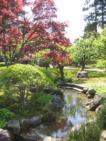 L'abondance en eau dans le jardin du Kenroku-en